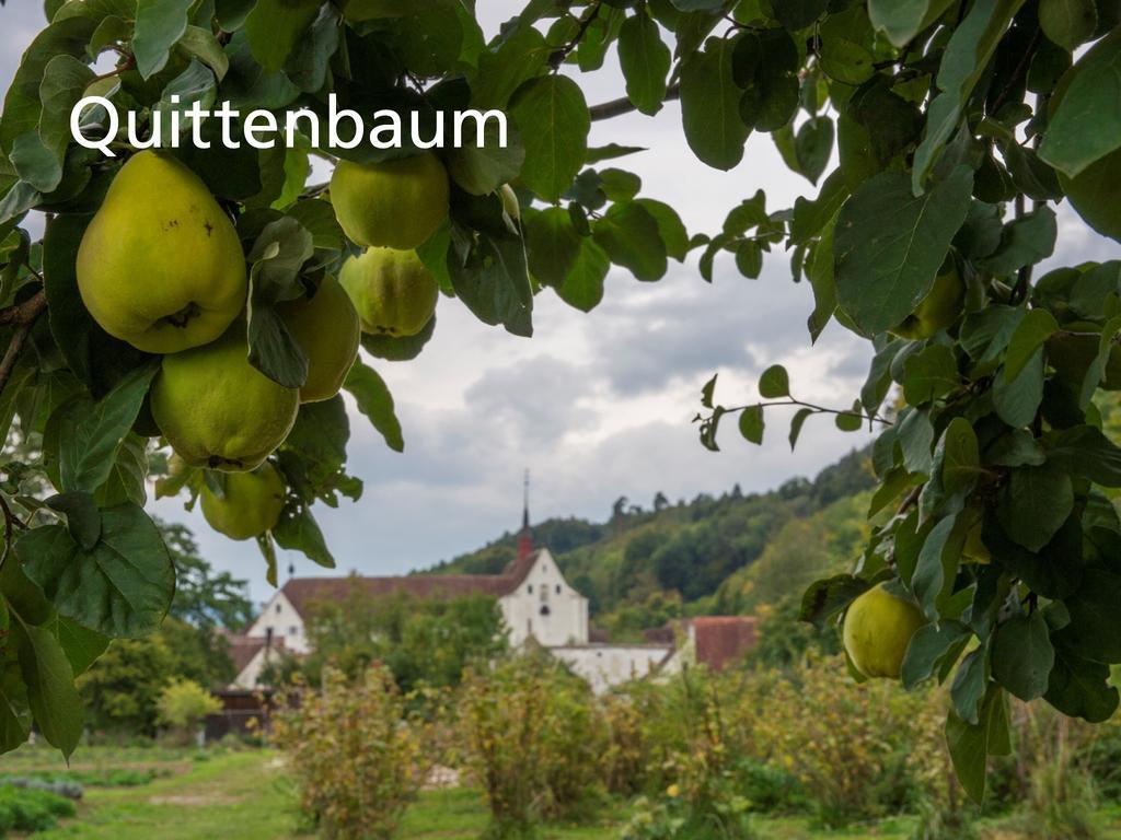 Hotel Kartause Ittingen Warth-Weiningen Exteriér fotografie