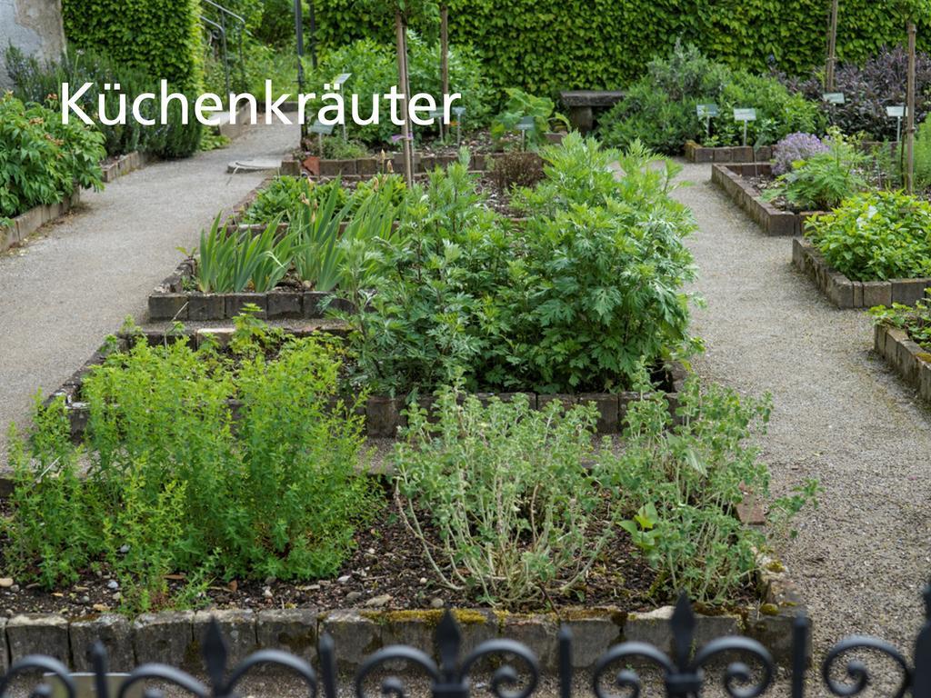 Hotel Kartause Ittingen Warth-Weiningen Exteriér fotografie