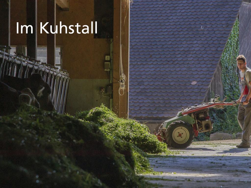 Hotel Kartause Ittingen Warth-Weiningen Exteriér fotografie