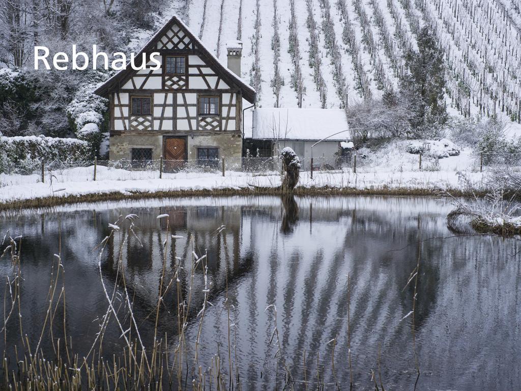 Hotel Kartause Ittingen Warth-Weiningen Exteriér fotografie