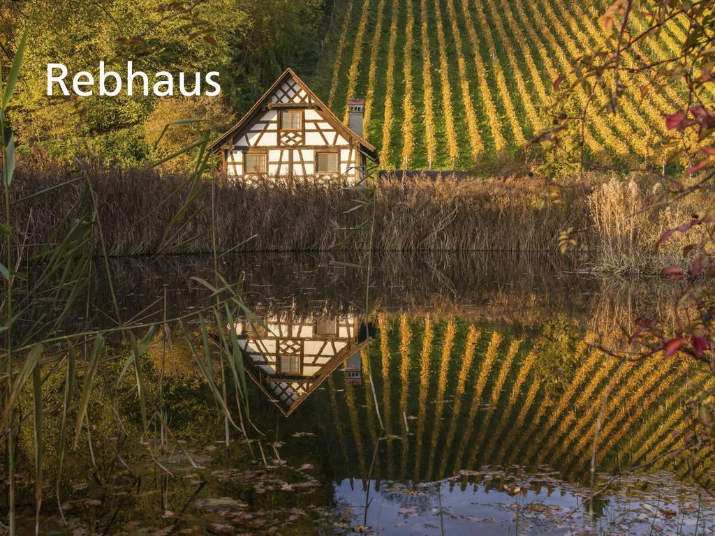 Hotel Kartause Ittingen Warth-Weiningen Exteriér fotografie