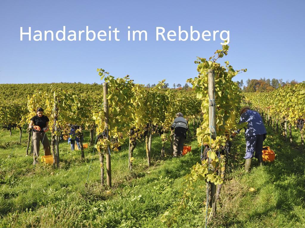 Hotel Kartause Ittingen Warth-Weiningen Exteriér fotografie