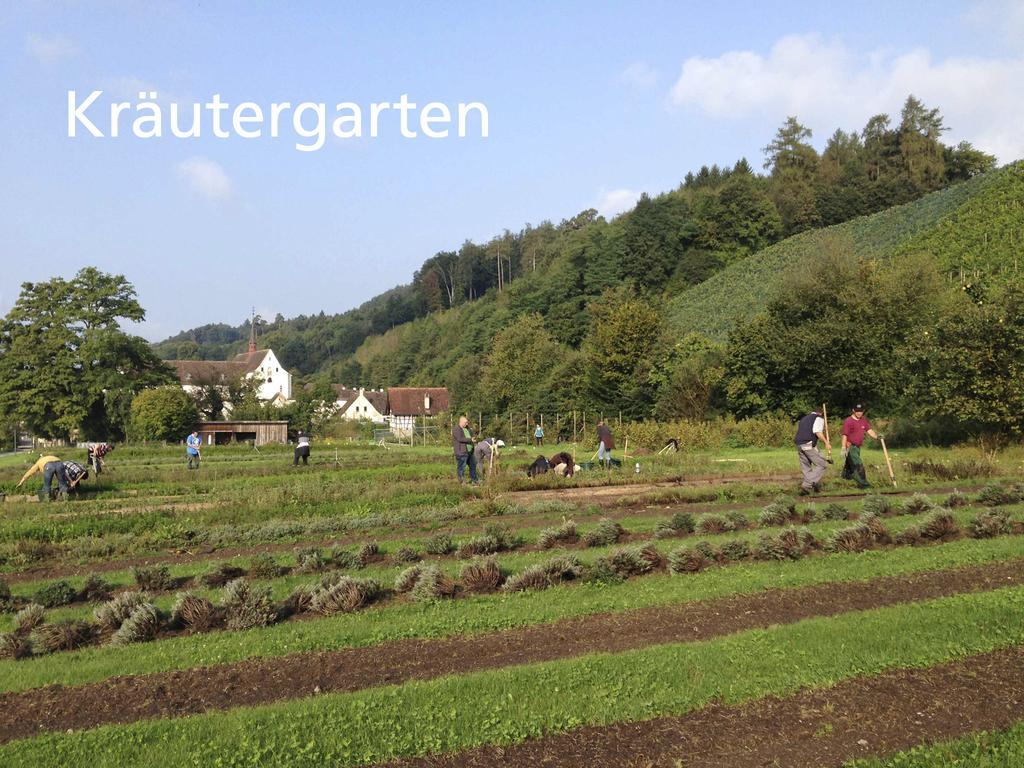 Hotel Kartause Ittingen Warth-Weiningen Exteriér fotografie