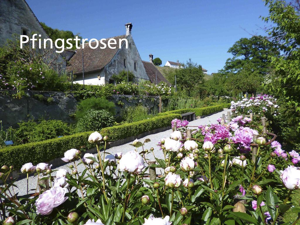 Hotel Kartause Ittingen Warth-Weiningen Exteriér fotografie