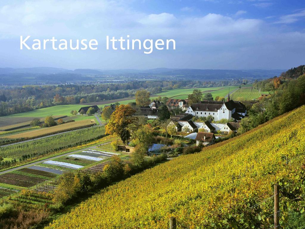 Hotel Kartause Ittingen Warth-Weiningen Exteriér fotografie